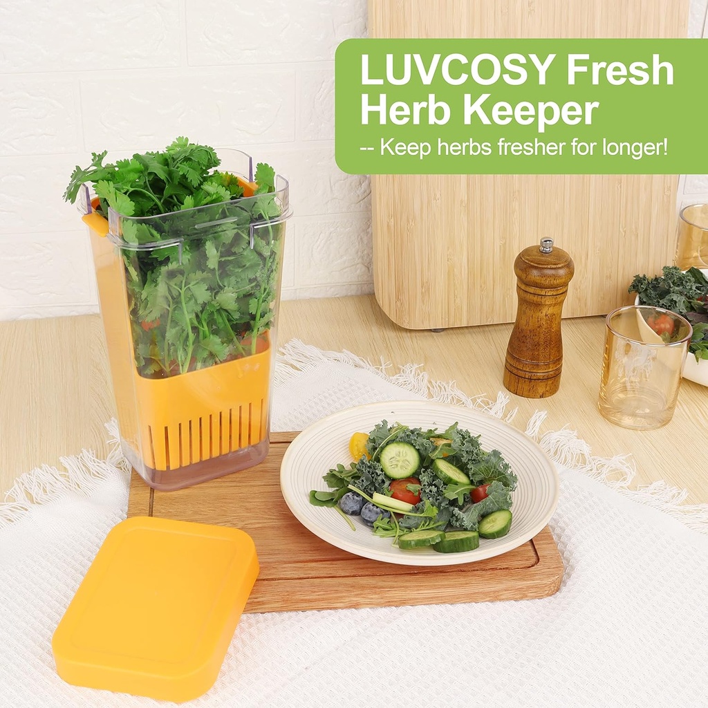 fresh-herb-keeper-for-refrigerator-clear-3.jpg