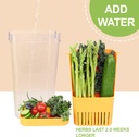 fresh-herb-keeper-for-refrigerator-clear-5.jpg