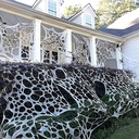 2-packs-spider-web-halloween-decorations-5.jpg