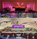 grow-light-for-indoor-plants---upgraded--4.jpg