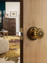 antique-brass-door-knobs-interior-privac-3.jpg