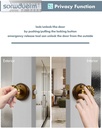 antique-brass-door-knobs-interior-privac-6.jpg