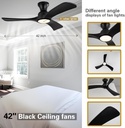 ceiling-fans-with-lights-42-inch-low-pro-3.jpg