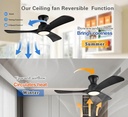 ceiling-fans-with-lights-42-inch-low-pro-5.jpg