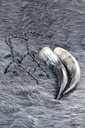 viking-traders-drinking-horn-glass-with--5.jpg