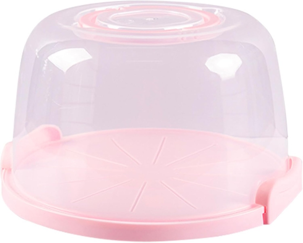 transparency-cake-storage-box-with-handl-4.jpg