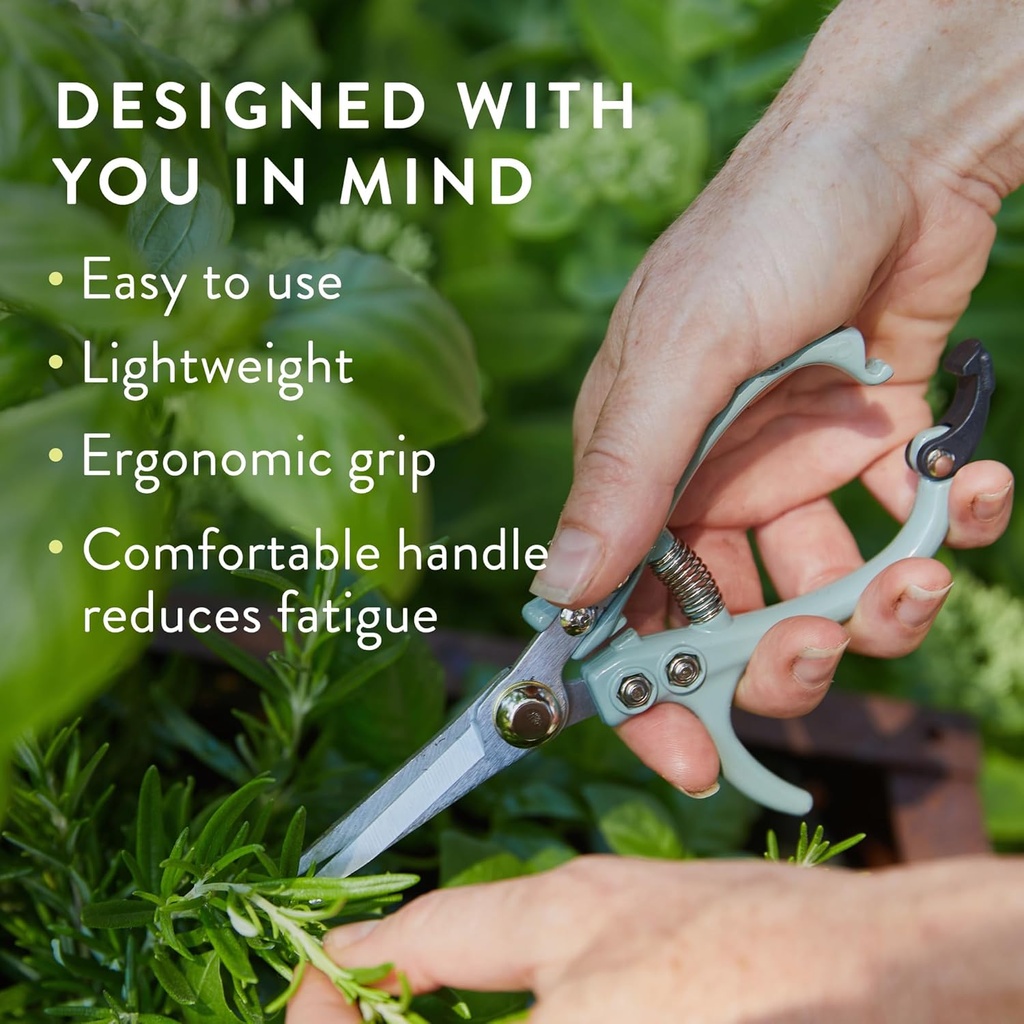 modern-sprout-pruning-shears---herb-snip-4.jpg