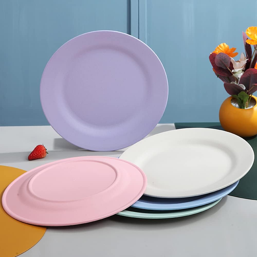 set-of-10-round-salad-plates-10-inch-app-2.jpg