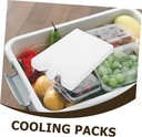 4pcs-reusable-ice-packs-for-coolers-mult-2.jpg