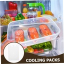 4pcs-reusable-ice-packs-for-coolers-mult-5.jpg