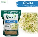 nature-jims-sprouts-alfalfa-seeds-non-gm-2.jpg