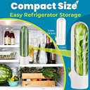 herb-saver-for-refrigerator-herb-saver-p-2.jpg