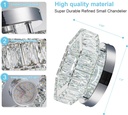 mini-crystal-chandelier-led-flush-mount--3.jpg