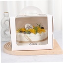 pretyzoom-4pcs-cake-storage-boxes-window-4.jpg