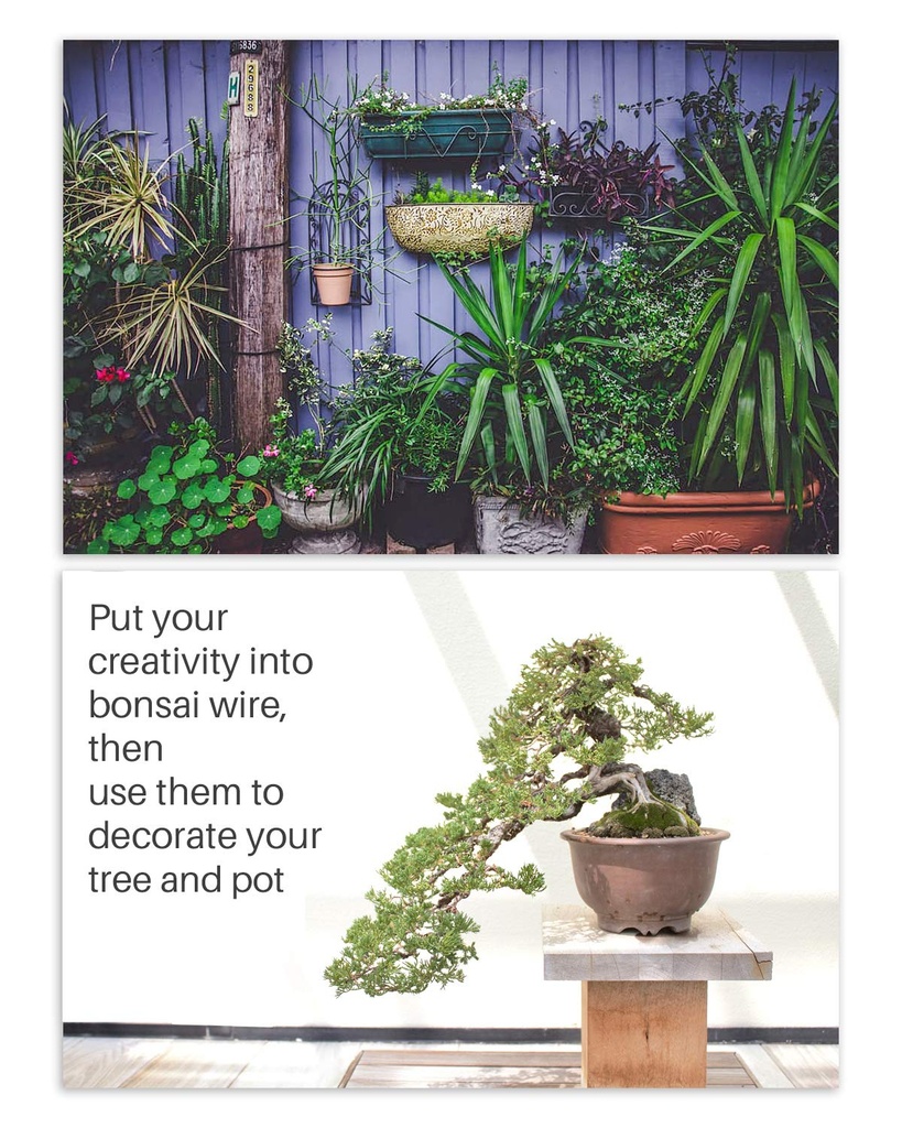 5pcs-bonsai-wire-and-bonsai-tool-kit-tot-6.jpg