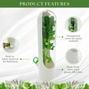 herb-keeper-for-refrigerator-set-of-3-co-6.jpg