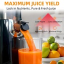 cold-press-juicer-machines-53-large-feed-4.jpg