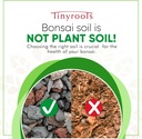 bonsai-soil-mix-by-tinyroots---all-purpo-2.jpg