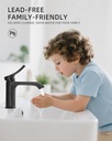 belz-black-bathroom-faucet-1-hole-modern-3.jpg