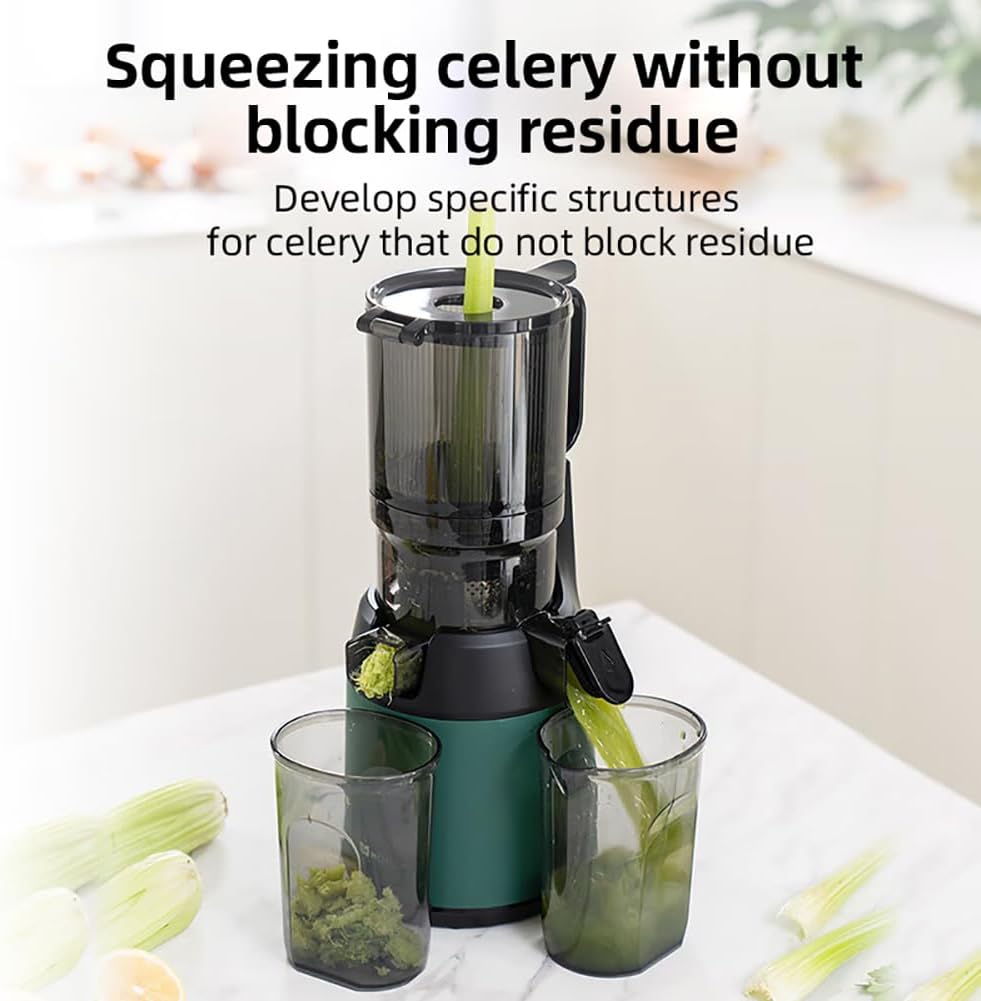 300w-professional-slow-juicer-juicer-mac-2.jpg
