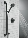 peerless-6-setting-slide-bar-hand-shower-2.jpg