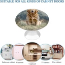 golden-retriever-dog-cabinet-handles-2-p-3.jpg