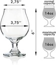 beer-glasses-belgian-style-tulip---16-oz-2.jpg