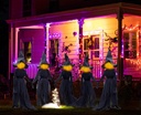 halloween-light-up-witches-halloween-yar-2.jpg