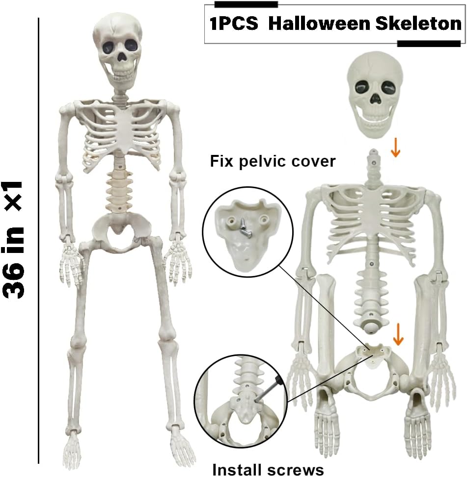 36-skeleton-halloween-decorations-3ft-re-3.jpg