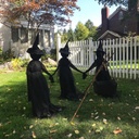 halloween-light-up-witches-halloween-yar-6.jpg
