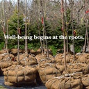 40-x15-feet-gardening-burlap-roll---mult-5.jpg