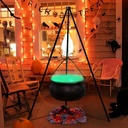 halloween-decorations---large-witches-ca-2.jpg