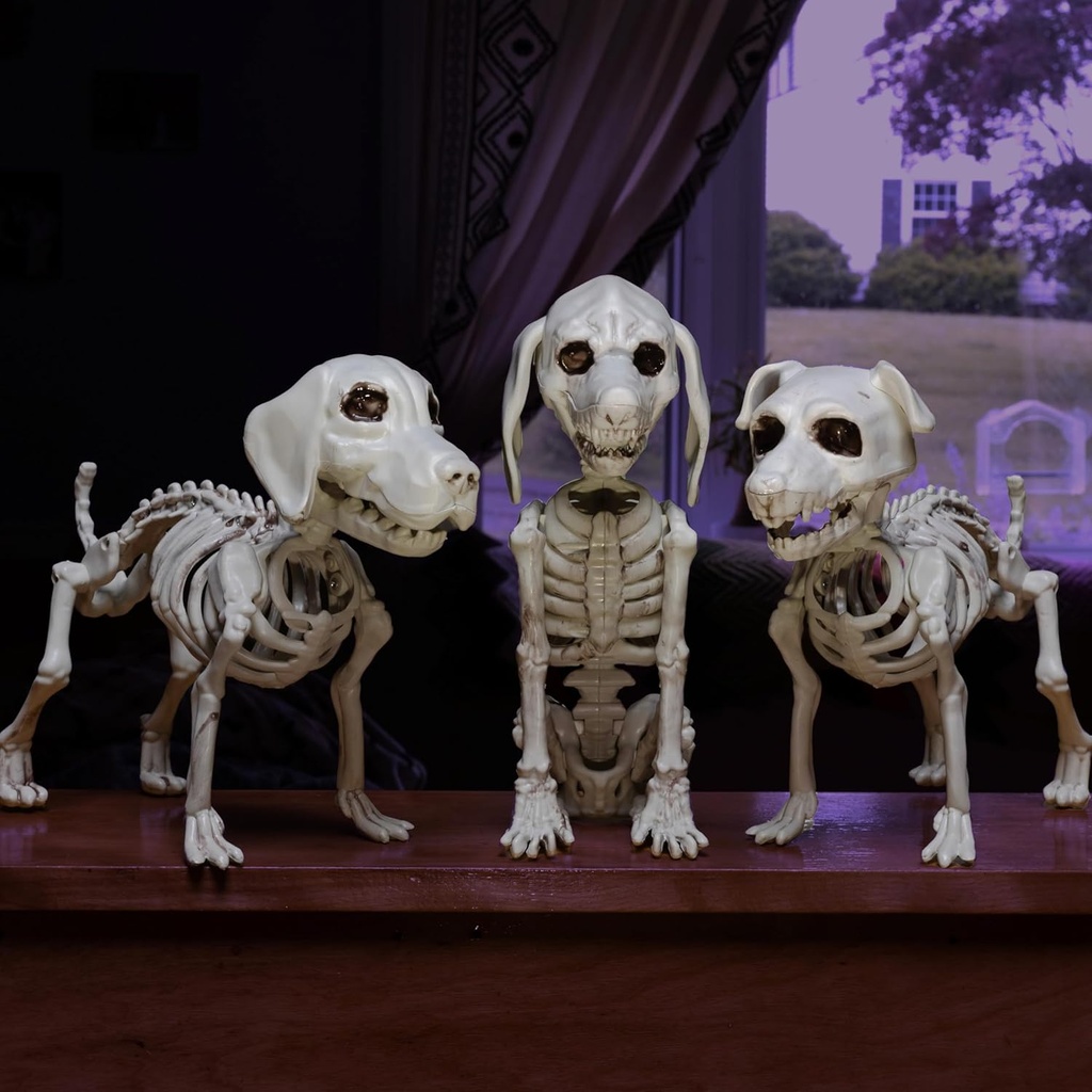 halloween-dog-skeleton-3-pack-indooroutd-2.jpg