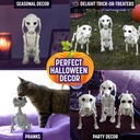 halloween-dog-skeleton-3-pack-indooroutd-4.jpg