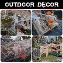 zpisf-300-sqft-spider-webs-halloween-dec-5.jpg