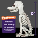 halloween-dog-skeleton-3-pack-indooroutd-5.jpg