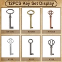12pcs-hollow-barrel-skeleton-key-hollow--4.jpg