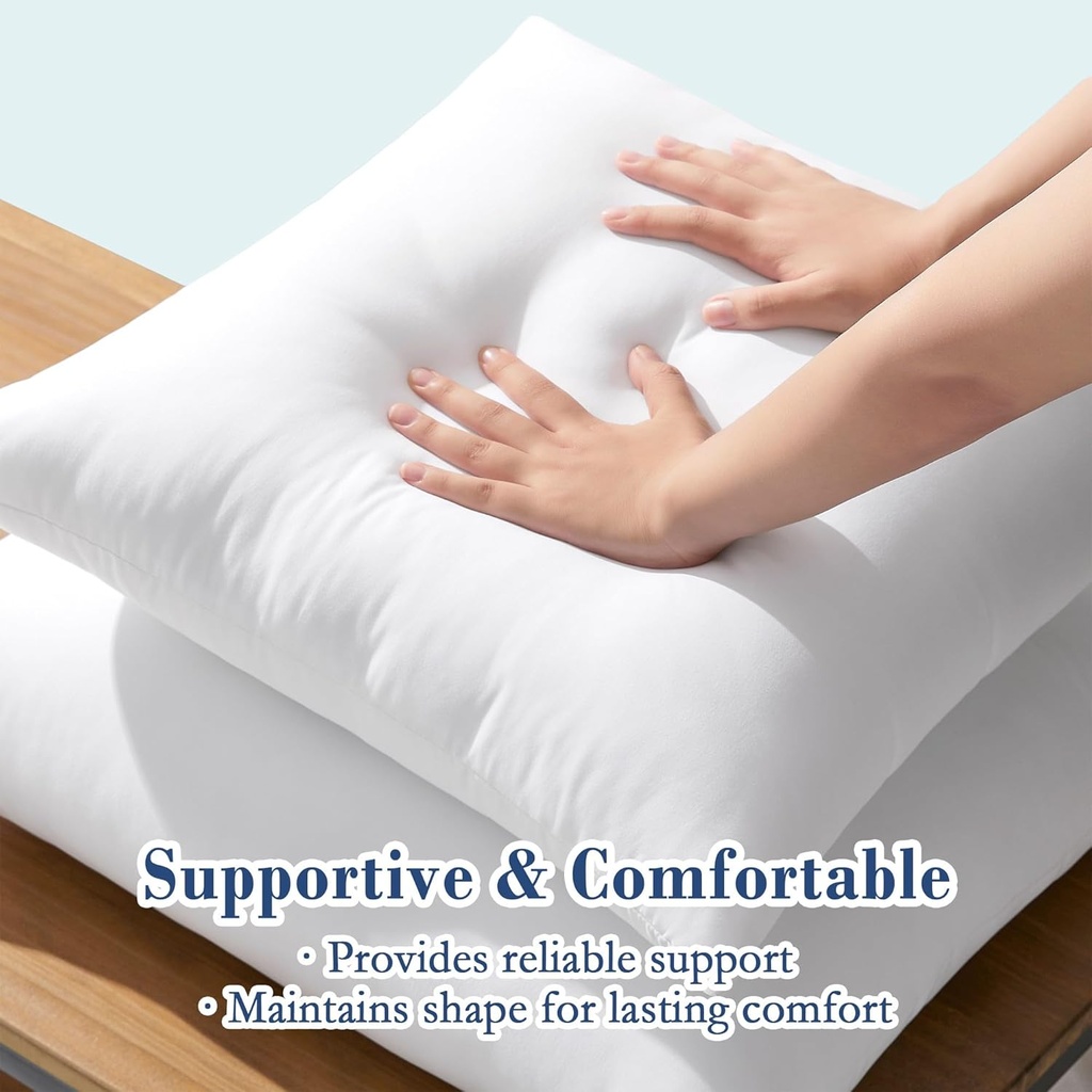 puredown-20x20-outdoor-pillow-inserts-se-4.jpg