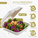 brheez-disposable-clamshell-to-go-contai-2.jpg