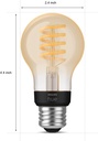 philips-hue-smart-40w-a19-filament-led-b-6.jpg