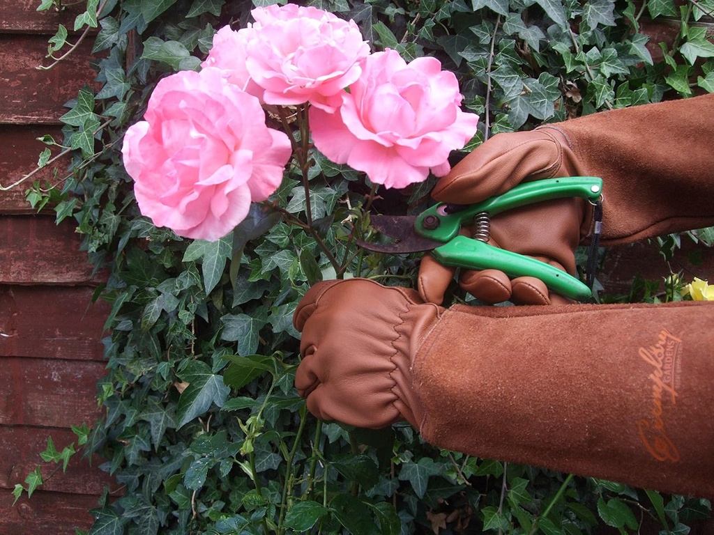 rose-pruning-gloves-for-men-and-women----3.jpg