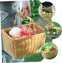 hanging-basket-small-basket-for-kitchen--3.jpg