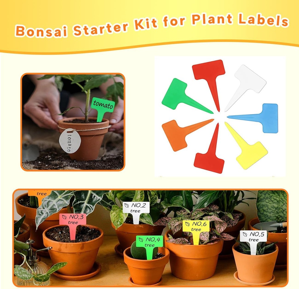 bonsai-tools-set-for-beginners-bonsai-tr-5.jpg