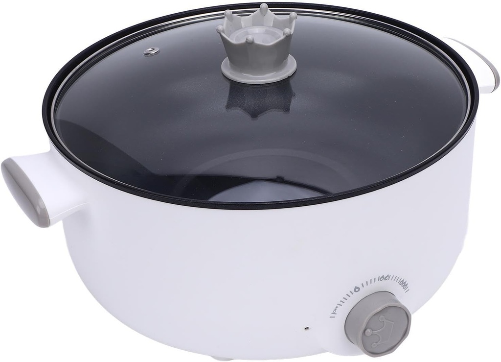 hot-pot-electric-electric-pot-36l-large--2.jpg