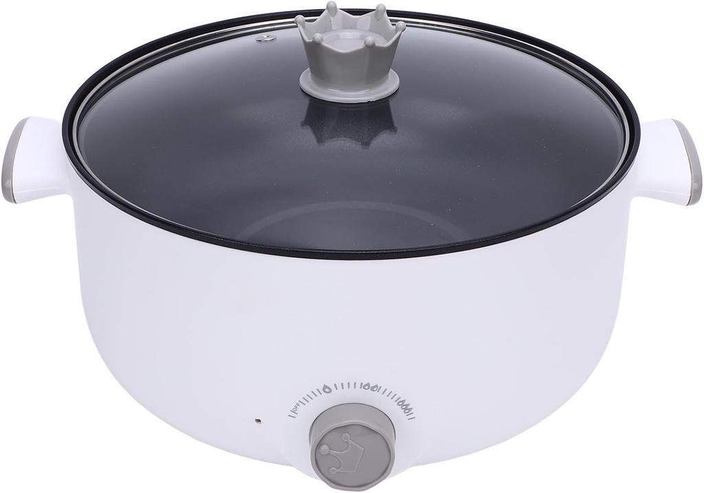 hot-pot-electric-electric-pot-36l-large--4.jpg