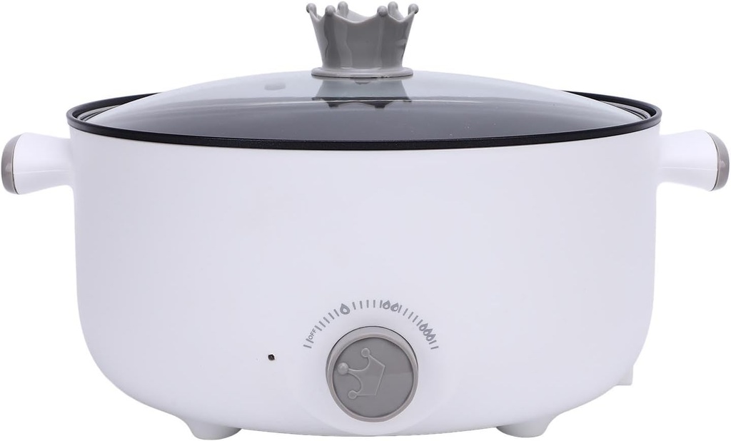 hot-pot-electric-electric-pot-36l-large--5.jpg