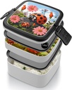 cartoon-ladybug-flower-bento-box-with-co-4.jpg