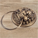door-knocker-brass-knocker-beast-head-li-4.jpg