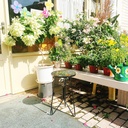 mosaic-hummingbird-outdoor-side-tea-tabl-2.jpg