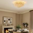 12-light-crystal-flush-mount-chandelier--5.jpg